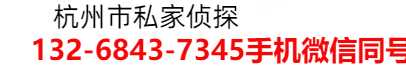 侦探公司,侦探,私家侦探